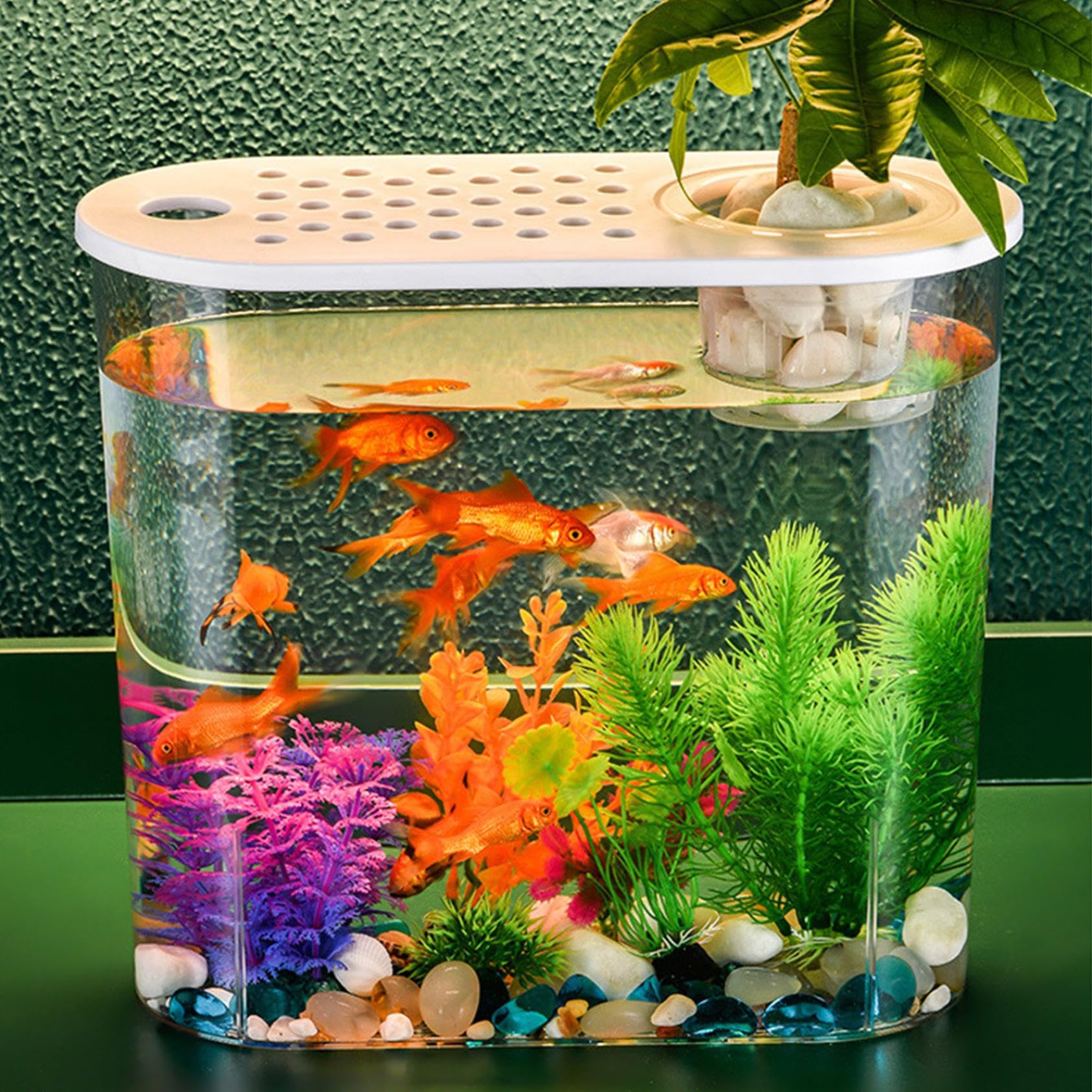 Acrylic Fish Bowl Beavorty Transparent Plastic Fish Bowl Small