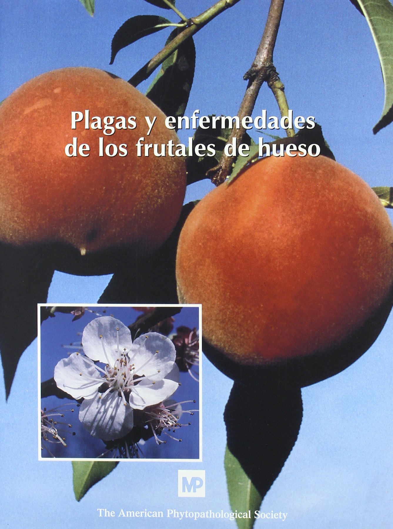 Plagas y enfermedades de los frutales de hueso (Patología Vegetal)