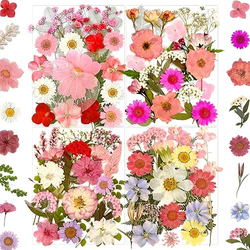 Miniatura 13 de 84 piezas de hojas secas prensadas para moldes de resina, surtido de flores secas naturales a granel para manualidades artísticas DIY, joyería de