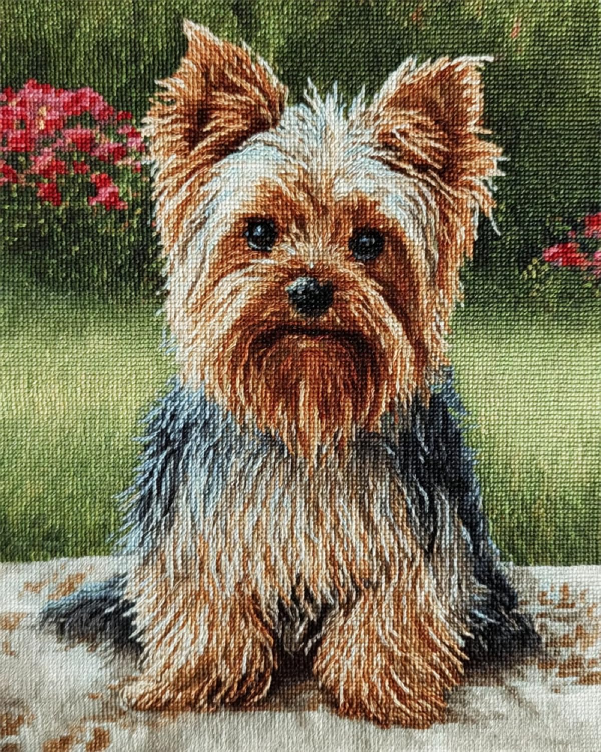 Taxpy DIY Embroidery Starter Kit Yorkshire Terrier Animal Mosaic Beads Embroidery Handmade Bead Cross Stitch Kits Gift for Friends 50x70cm