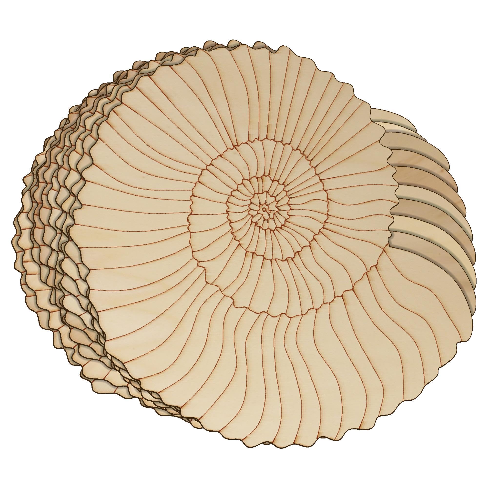 10x Wooden Ammonite Fossil Craft Shape 3mm Ply Dinosaur Prehistoric Shell(20 x 21.4cm,No Hole)