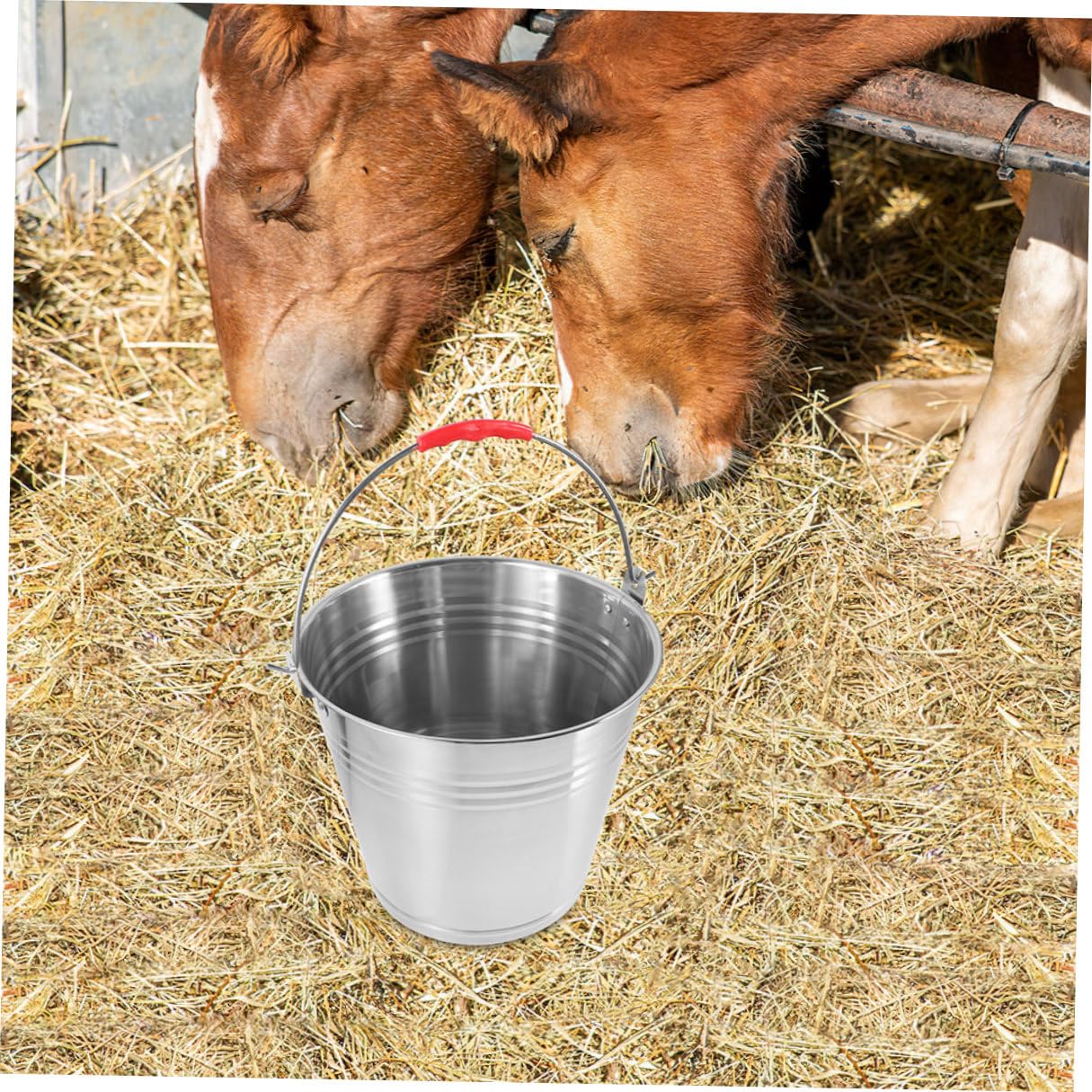 Multifunktionaler Futter Wassereimer mit Edelstahlgriff für Pferde Tragbarer Pferdebehälter für Fohlenfütterung Stall und Pferdepflege Rostfreier Futtereimer für Pferdezubehör