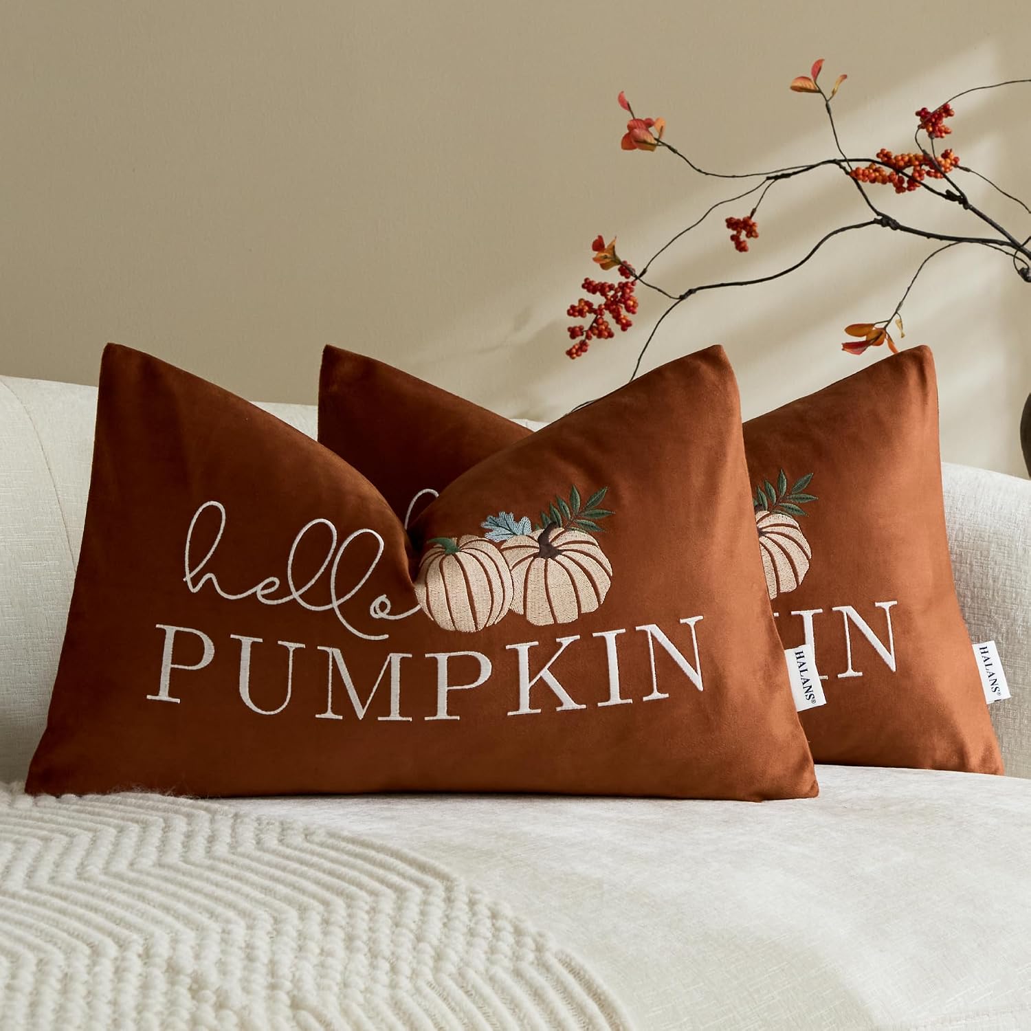 Orange Set of 2 Embroidered Fall Throw Pillow Covers,12x20 Inch