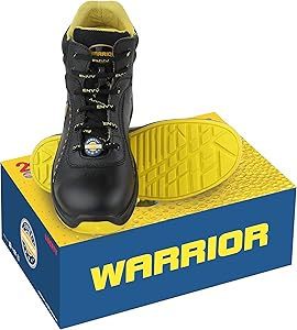 ENVY  81VSLQKkDGL._AC_UY300_.jpg