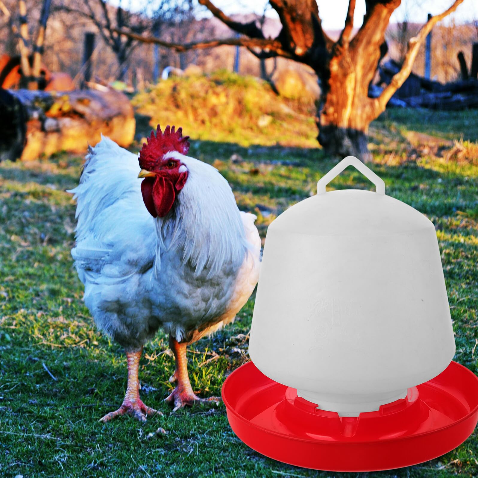 Yardenfun Mangiatoia per Polli e Oche in Plastica Bianca Design Creativo, Resistente alle Cadute, per Uso Esterno in Allevamenti e Cortili