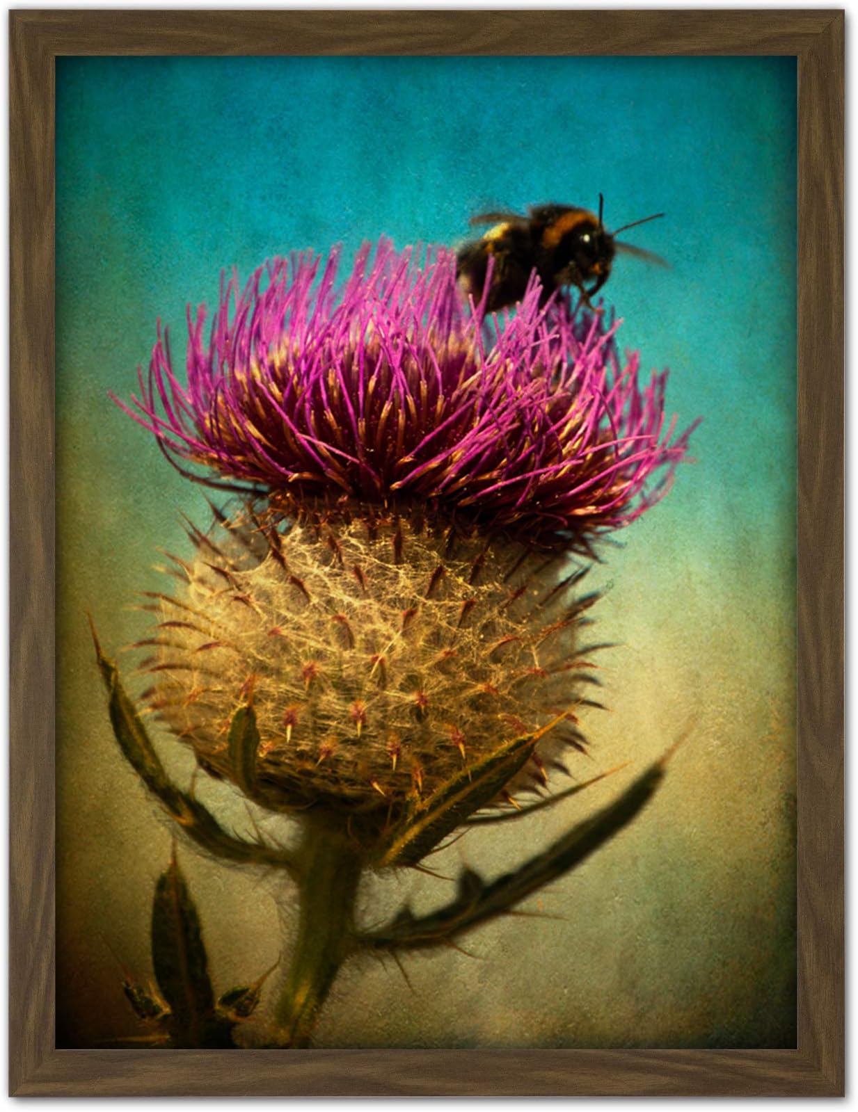 Bumble Bee and Thistle Artwork Framed Wall Art Print 18X24 Inch