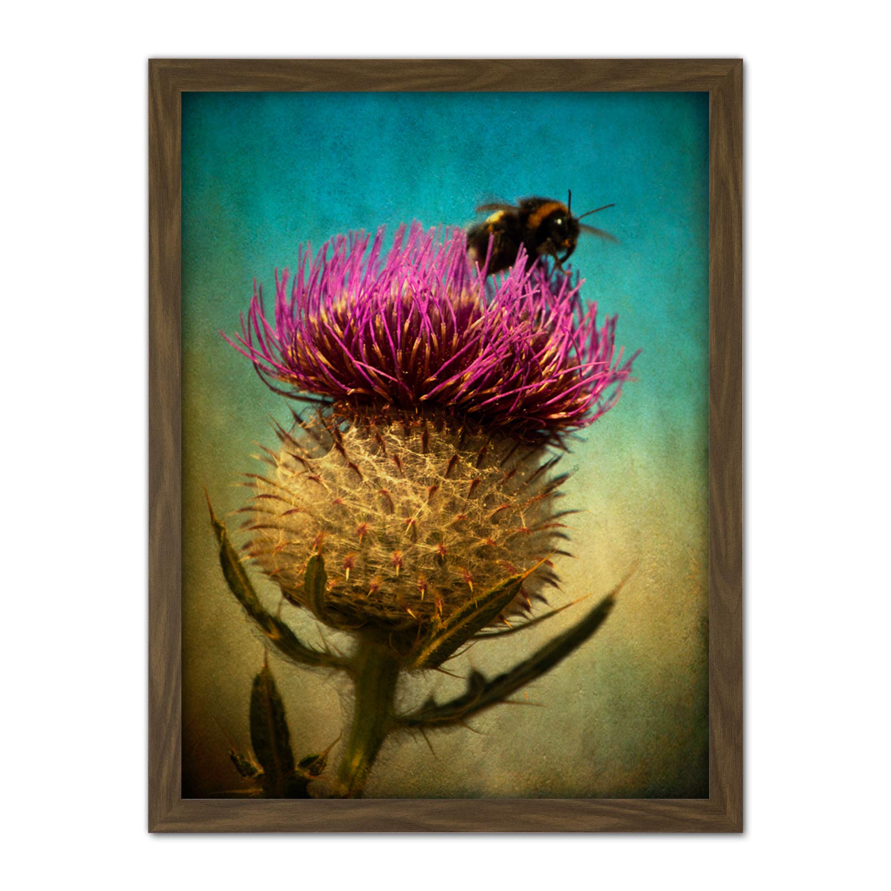 Wee Blue Coo Bumble Bee and Thistle Artwork Framed Wall Art Print 18X24 Inch