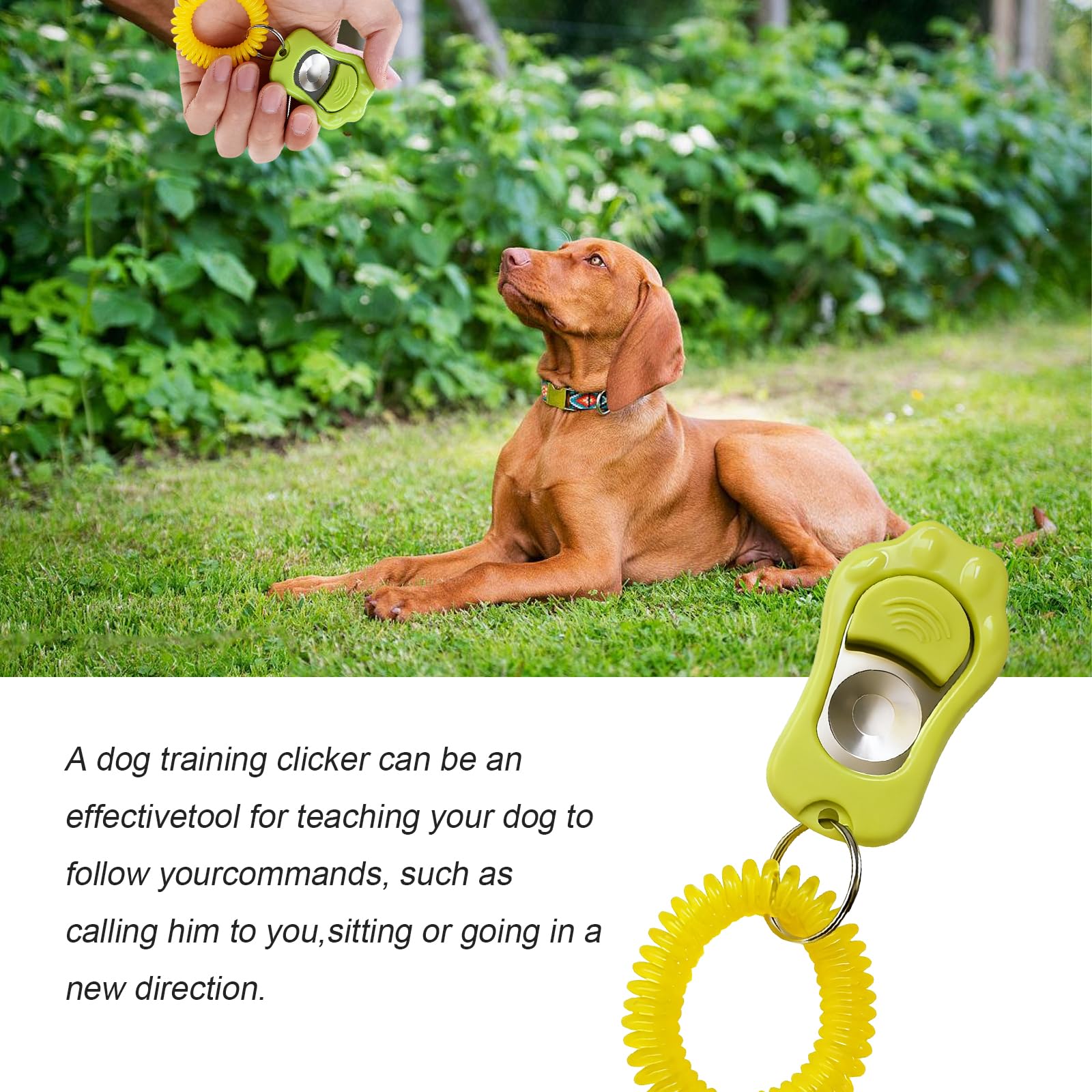 2 Pcs Sifflet Ultrason Chien, Clicker Dressage pour Chien, Clicker Training pour Animaux à Fréquence Ajustable (avec Laniette), pour Chien, Chat, Oiseau, Lapin (Vert Sauge/Gris Bleu)