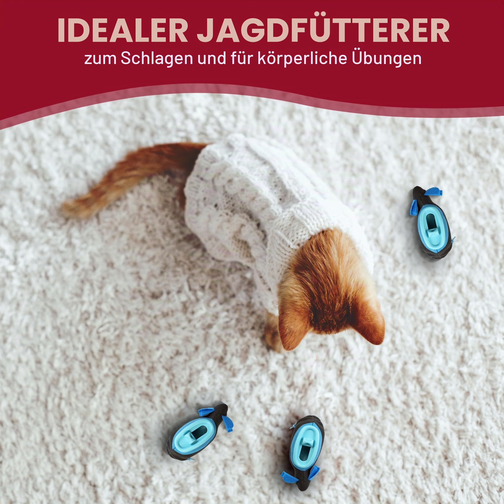 Doc & Phoebe Interaktiver Futterspender für Katzen, für den Innenbereich, Einheitsgröße