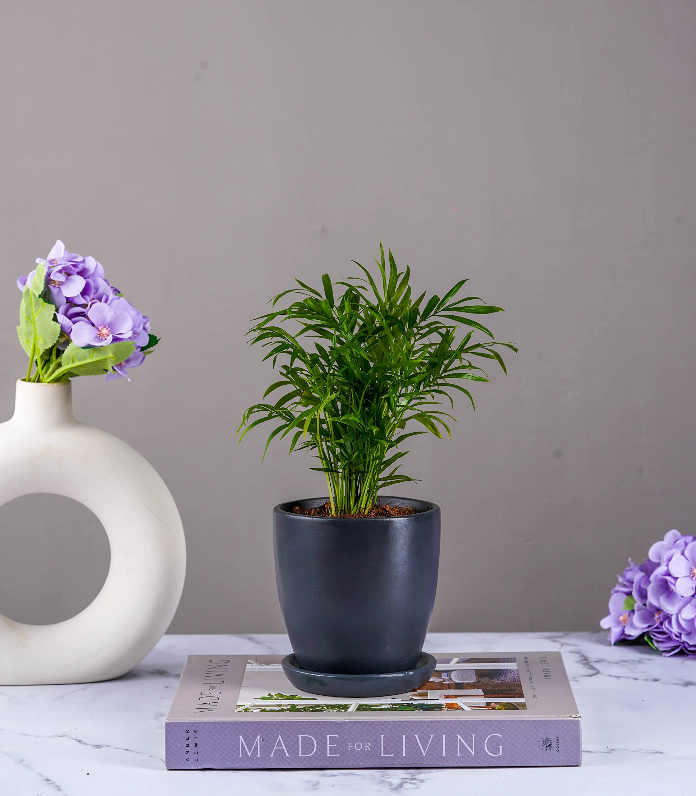 Nurturing Green® Set of 2 Contemporary Charcoal Grey 'Millennial' Ceramic Pots (Plants Not Included) for Home, Indoor Décor & Gifting (Size: 4.25 Wide | Comes with Bottom Plates) - Image 4 thumbnail