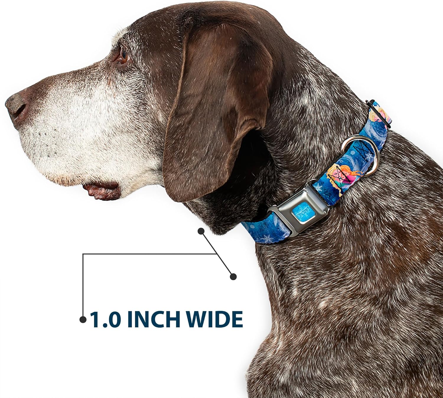 Disney Pet Collar, Dog Collar Metal Seatbelt Buckle, Frozen Elsa The Snow Queen Poses Snowflakes, 15 to 24 Inches 1.0 Inch Wide