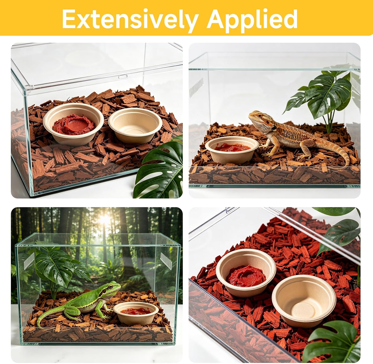 Gecko Feeding Cups, 100-Pack 1 Oz Small Paper Bowls for Crested Gecko Food and Water, Disposable Condiment Cups for Reptile Feeding Dishes and Ledge Accessories, Biodegradable