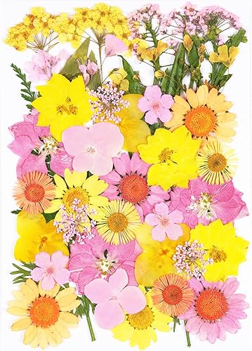 Vista 21 de 40 flores secas prensadas negras para manualidades, kit de flores secas Xinxinran para moldes de resina, accesorios de resina epoxi, marcador, uñas