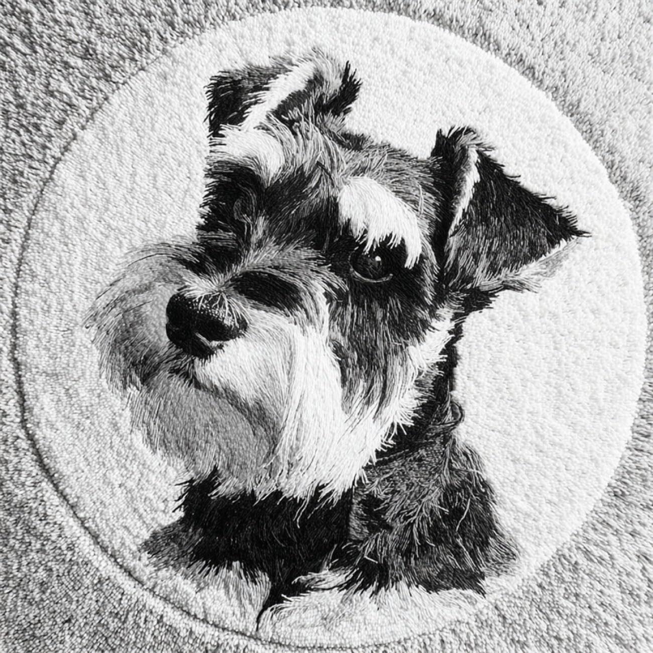 Kitquiver Dog Animal Latch Hook Craft Kits Schnauzer Portrait DIY Crochet Kits Needlework Crafts for Home Decor，Latch Hook Kits for Beginners Adults 60x60cm