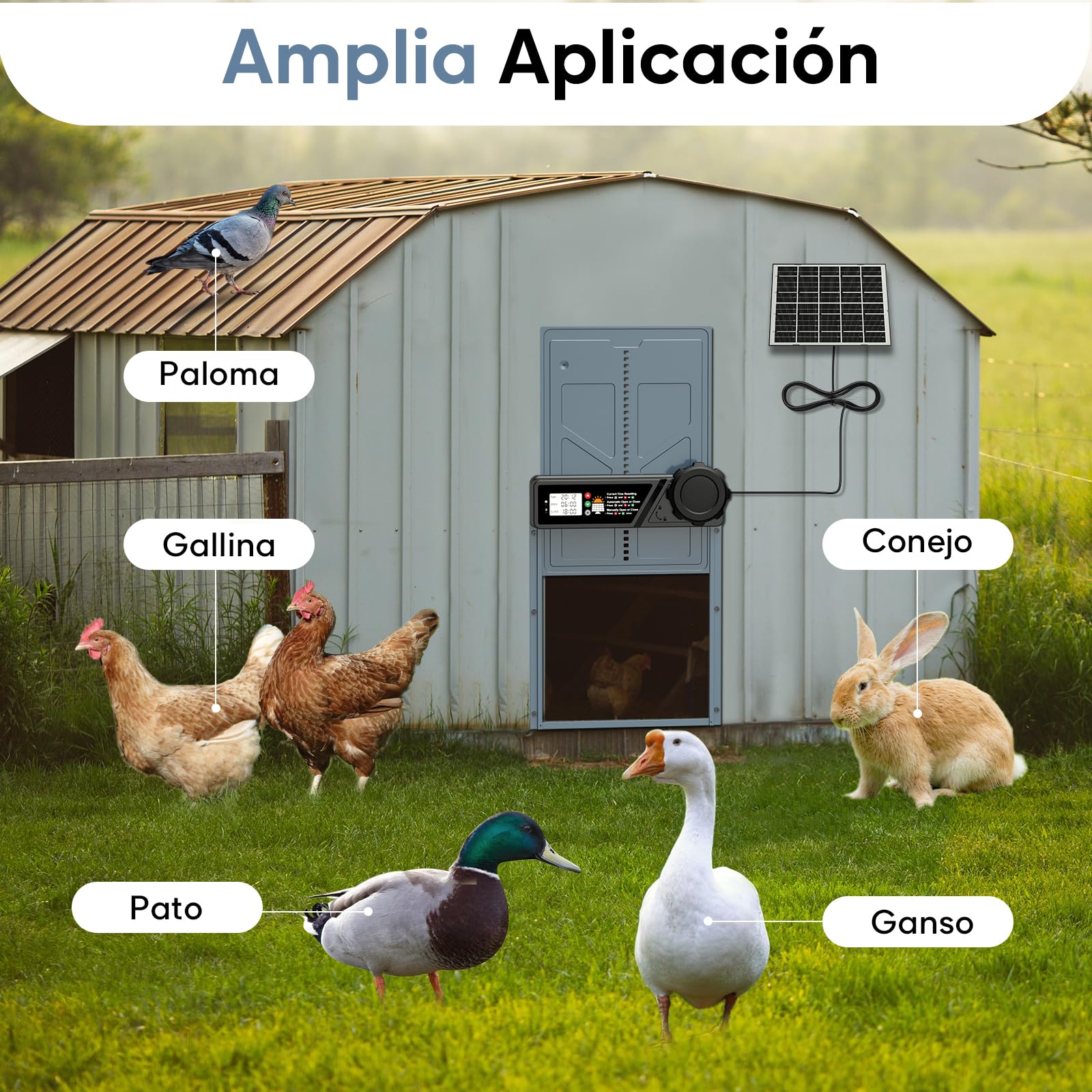 CHAMUTY Puerta automática para gallinero solar con temporizador, panel solar 7W, LCD, mando a distancia