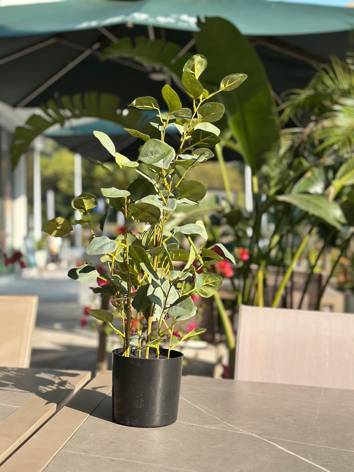 Kiko Artificial Plant Eucalyptus Tree -30" Tall Fake Table Plant with Plastic Pot for Office, Gymnasium Room, Living Room, Dinner Room, Shopping mall, and Other Decoration for Indoors