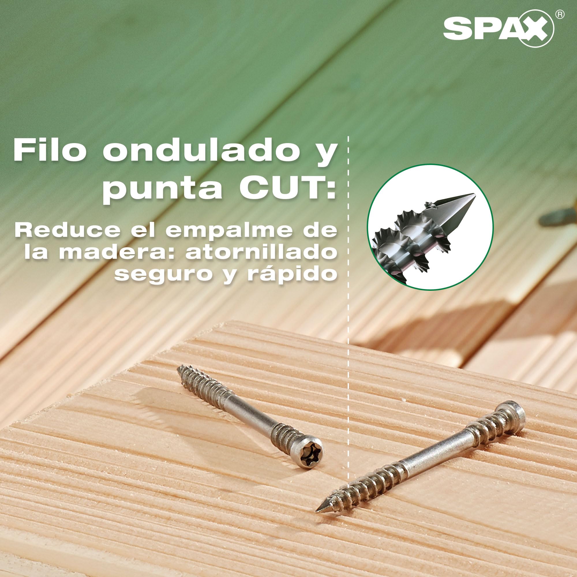 SPAX Tornillo para terrazas 5 x 60 mm, 360 unidades - Tornillos, rosca de fijación, cabeza cilíndrica, T-STAR plus T25, punta CUT, acero inoxidable A2-8000000276613