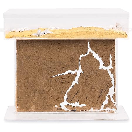 AntHouse - Natürliche Ameisenfarm aus Sand - T Acryl Set Big 25x20x1,5 cm (Gratis Ameisen)
