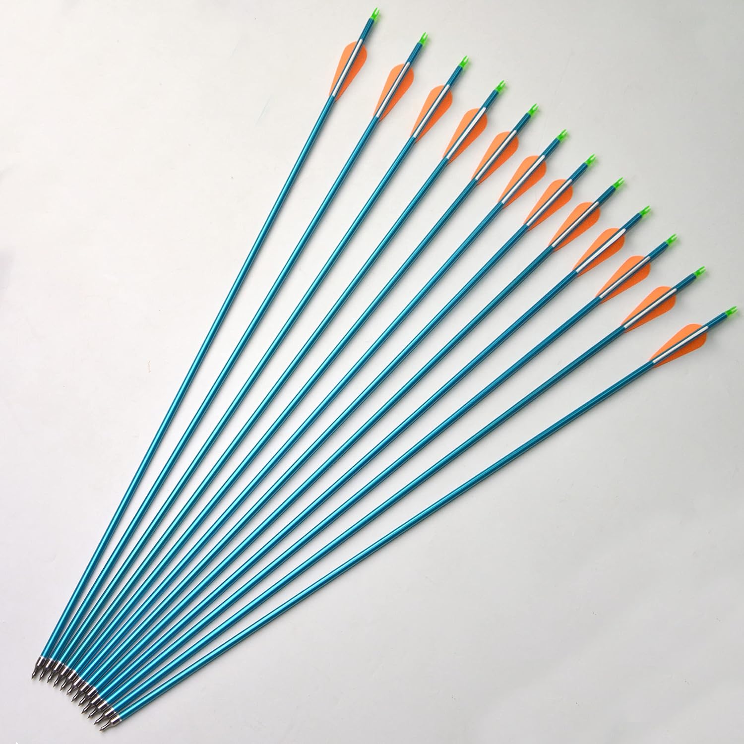 AMEYXGS Aluminum Arrows Spine 500 Hunting Targeting Practice with Removable Tips 3Inch Rubber Vanes for Compound Recurve Bow