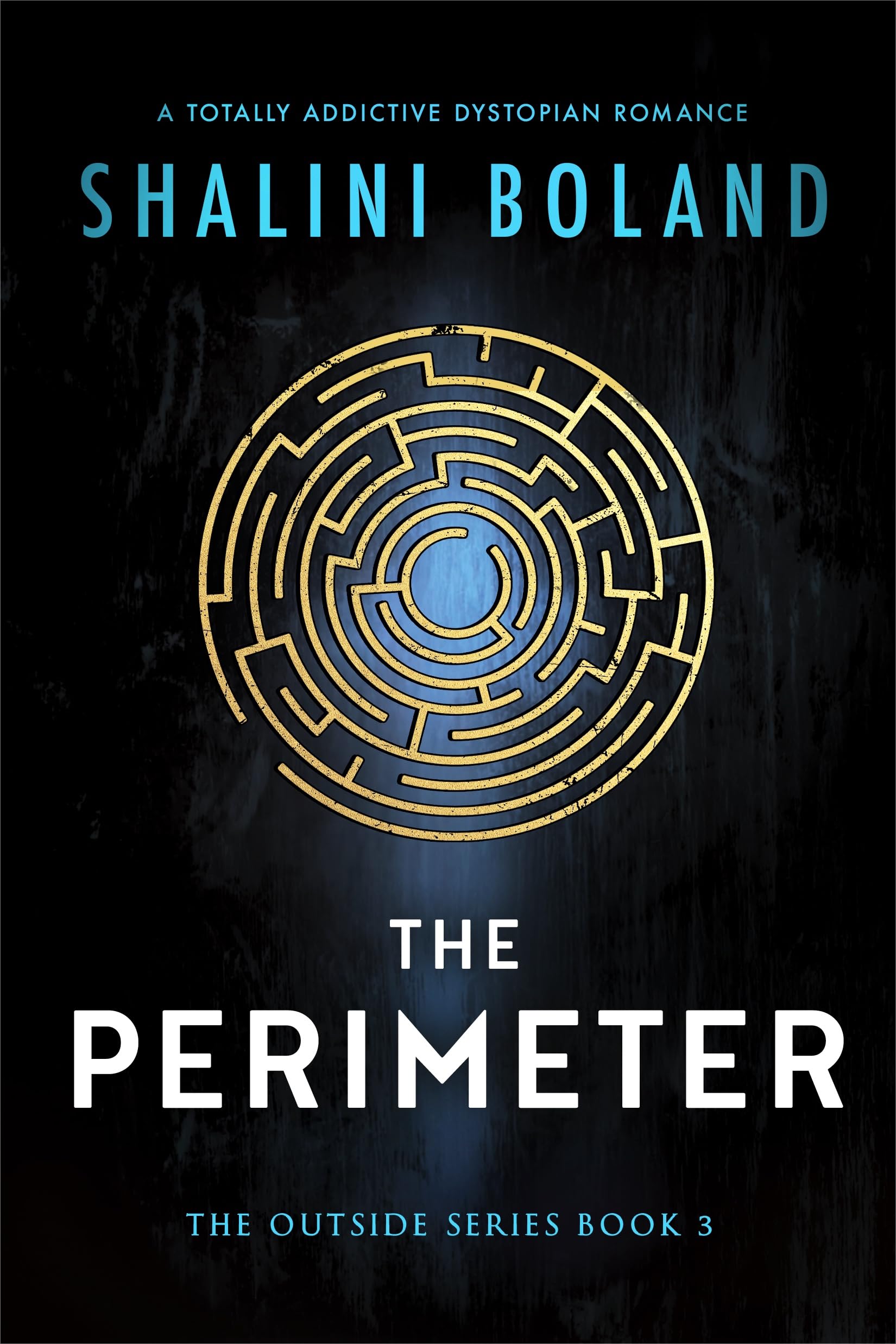 The Perimeter: A totally addictive dystopian romance (Outside Book 3)