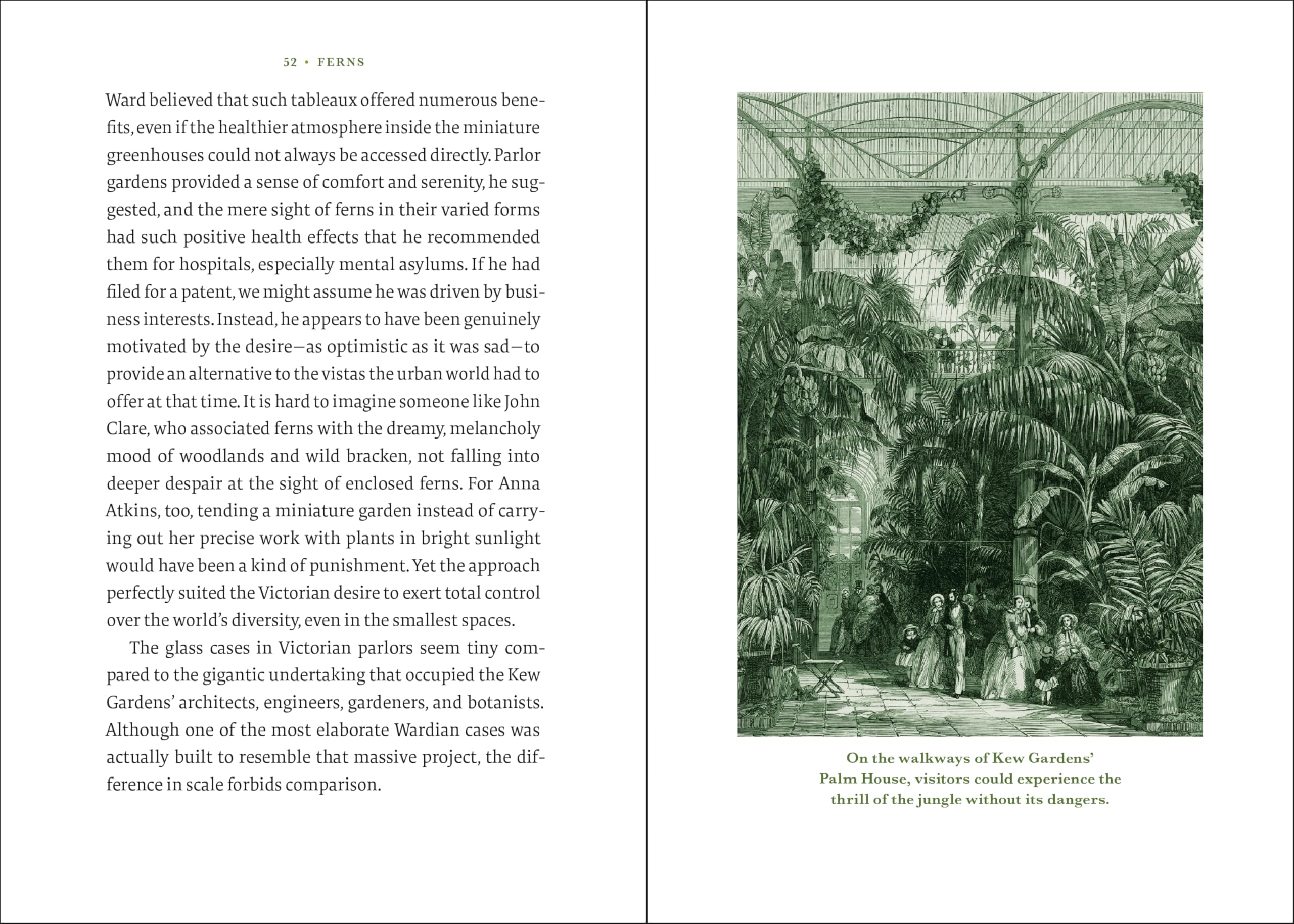 The Elegance of Ferns: Portrait of a Botanical Marvel (Marvels of Nature, 3)