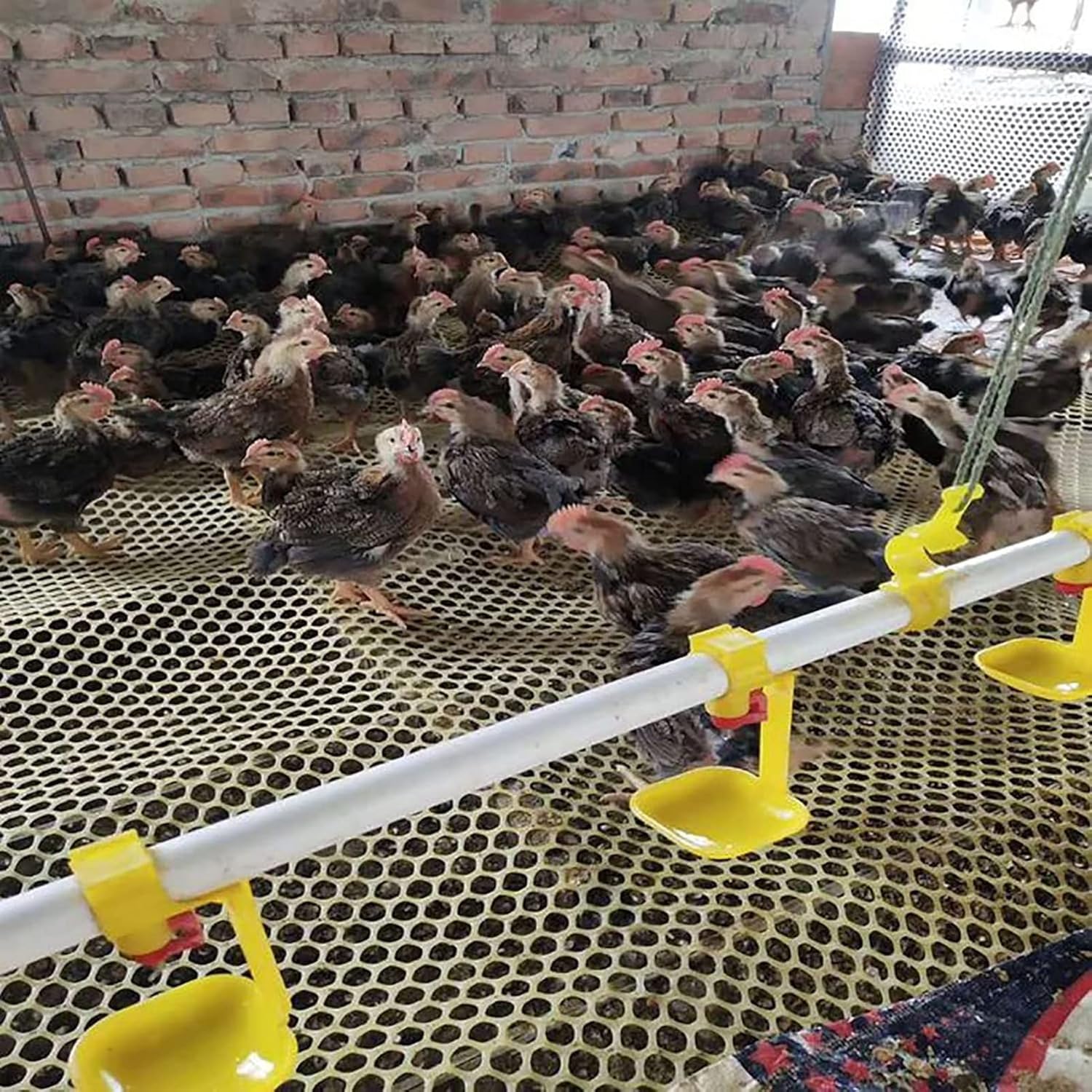 Poultry Breeding Chicken Wire Fence Mesh, Hexagonal