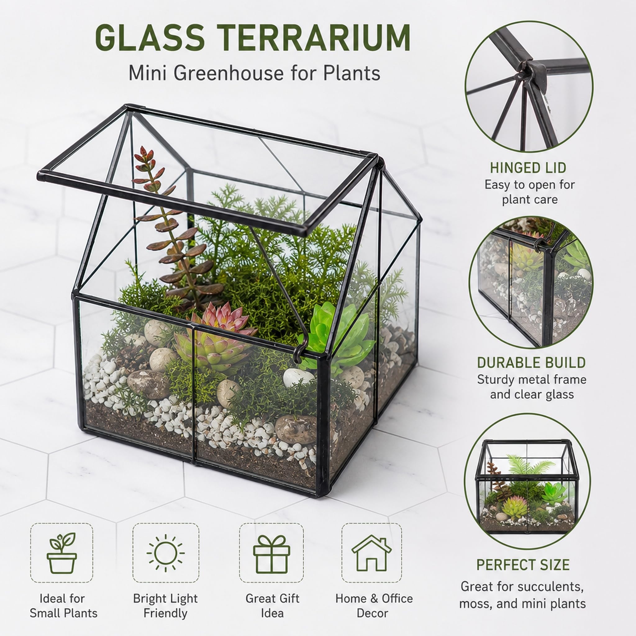 Ferrisland Terrario de Vidrio para Plantas, contenedor Wardian para Interiores, pequeño terrario suculento con Puerta para decoración de Mesa, Regalo de Bricolaje, 5 x 4.3 x 4.3 Pulgadas
