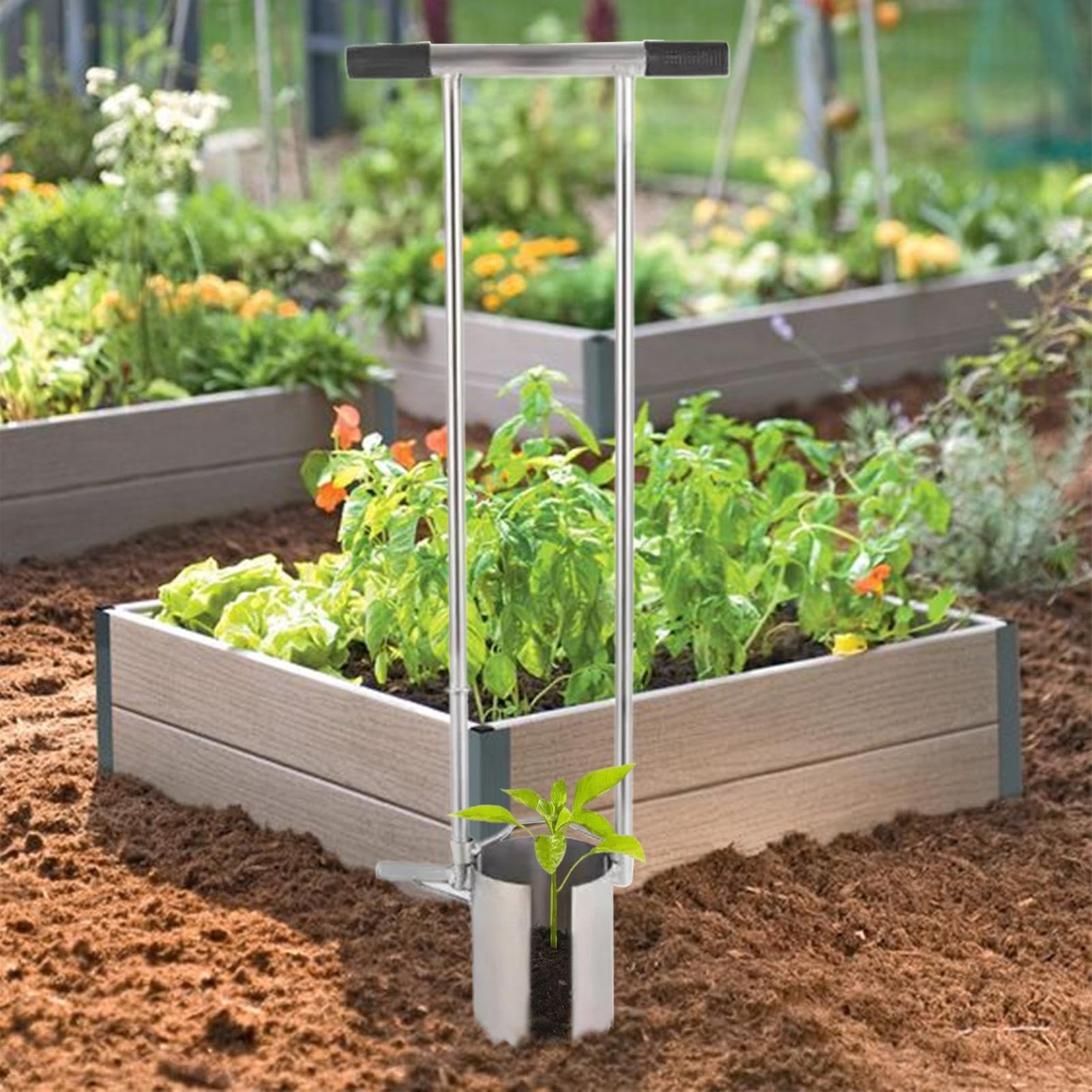 Piantatrice manuale a manico lungo | Attrezzo da giardino per bulbi di | fiori, aglio, cipolle | Trapiantatore ergonomico di bulbi da giardinaggio | Piantagione facile e