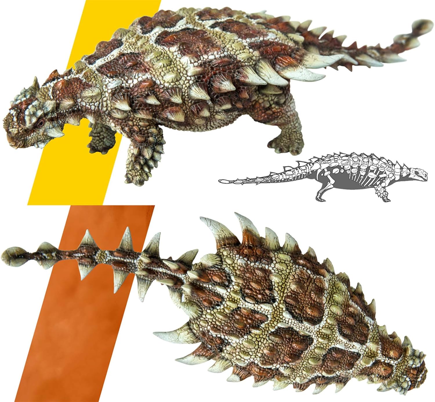 Amazon Pnso 成長シリーズ ピナコサウルス 恐竜 アンキロサウルス科 動物 リアル フィギュア Pvc プラモデル おもちゃ 模型 恐竜好き 誕生日 プレゼント オリジナル 塗装済 完成品 17 1cm級 フィギュア ドール 通販 Amazon Pnso 成長シリーズ ピナコサウルス 恐竜 アンキロサウルス科 動物 リアル フィギュア Pvc プラモデル おもちゃ 模型 恐竜好き 誕生日 プレゼント オリジナル 塗装済 完成品 17 1cm級 フィギュア ドール 通販