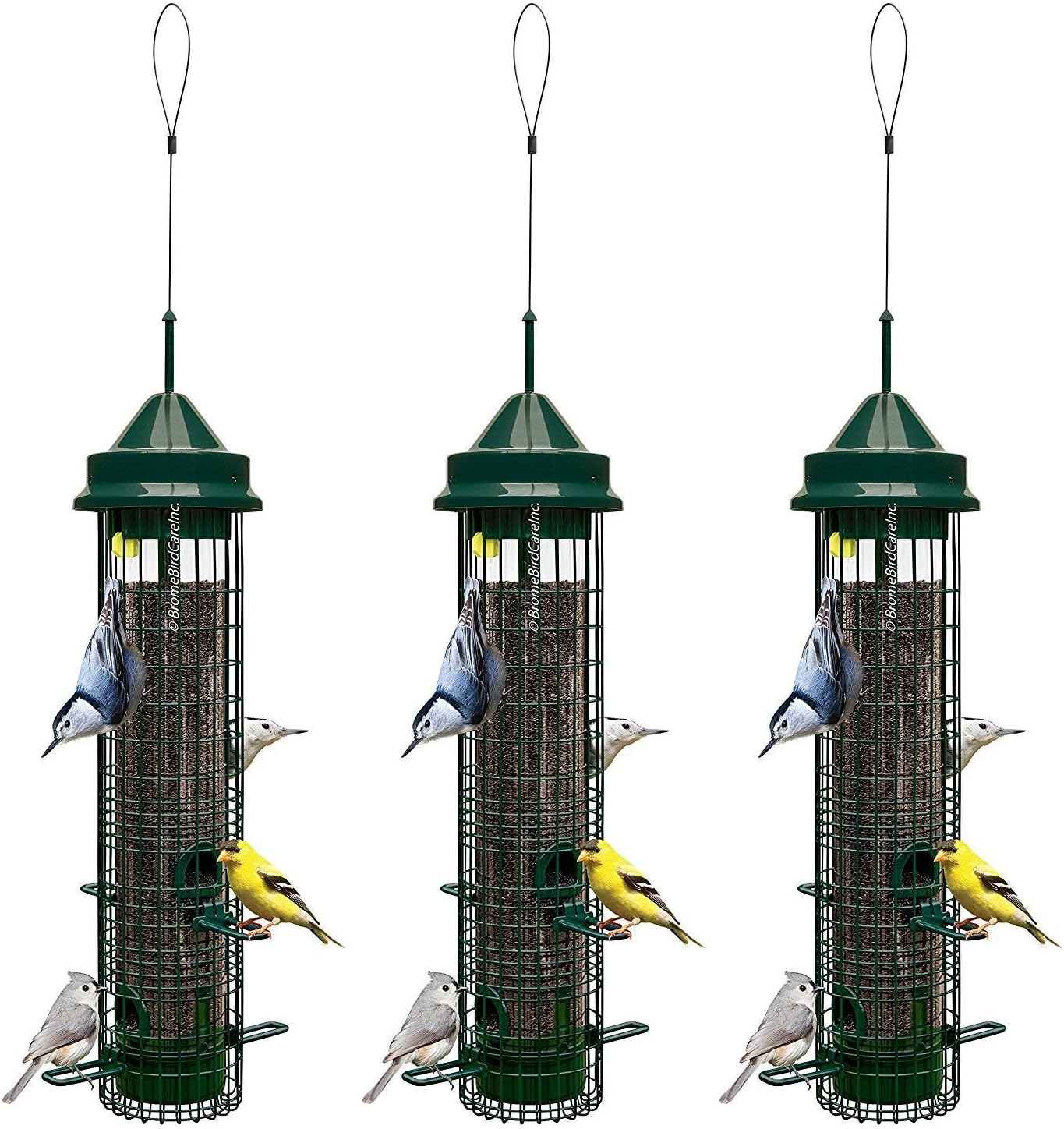 Squirrel Buster Classic Squirrel-proof Bird Feeder w/4 Feeding Ports, 2.4-pound Seed Capacity : Wild Bird Feeders : Garden & Outdoor