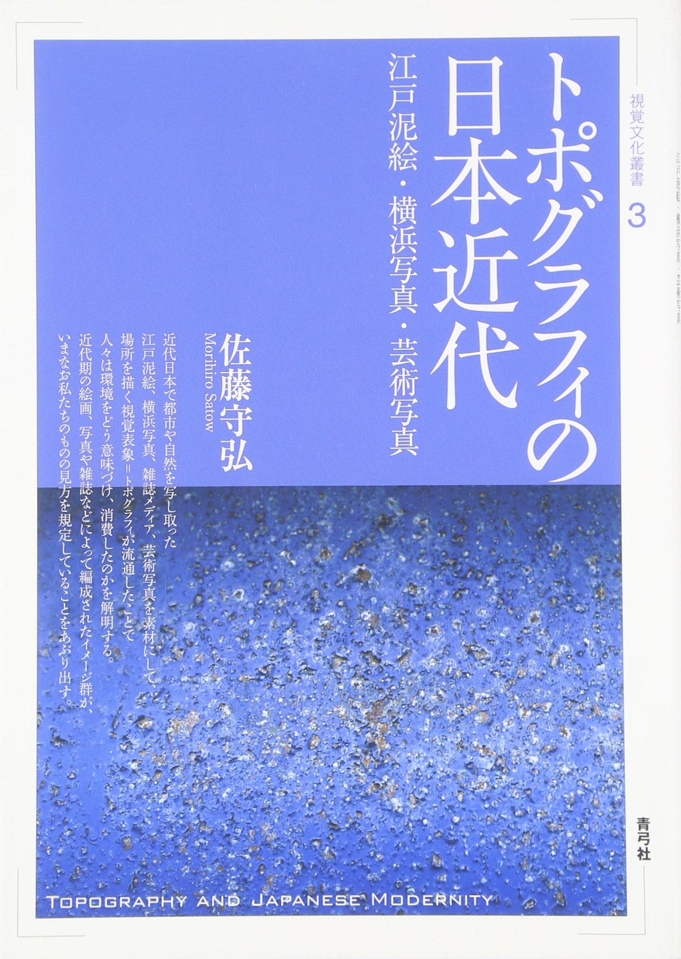 トポグラフィの日本近代: 江戸泥絵・横浜写真・芸術写真 (視覚文化叢書