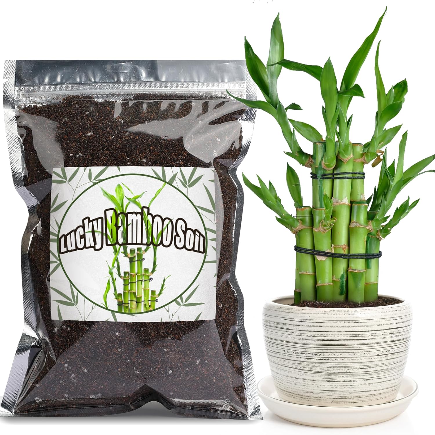 Doter Premium Lucky Bamboo Soil Mix 10qt, Indoor Plants Potting Mix for All Potted Luncky Bamboo, Promote Healthy Growth and Longevity