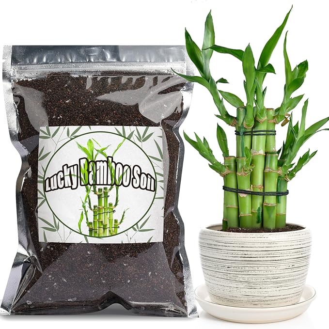 Doter Premium Lucky Bamboo Soil Mix 1qt, Indoor Plants Potting