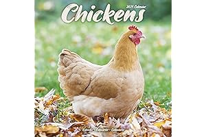 How to Speak Chicken 2023 Wall Calendar