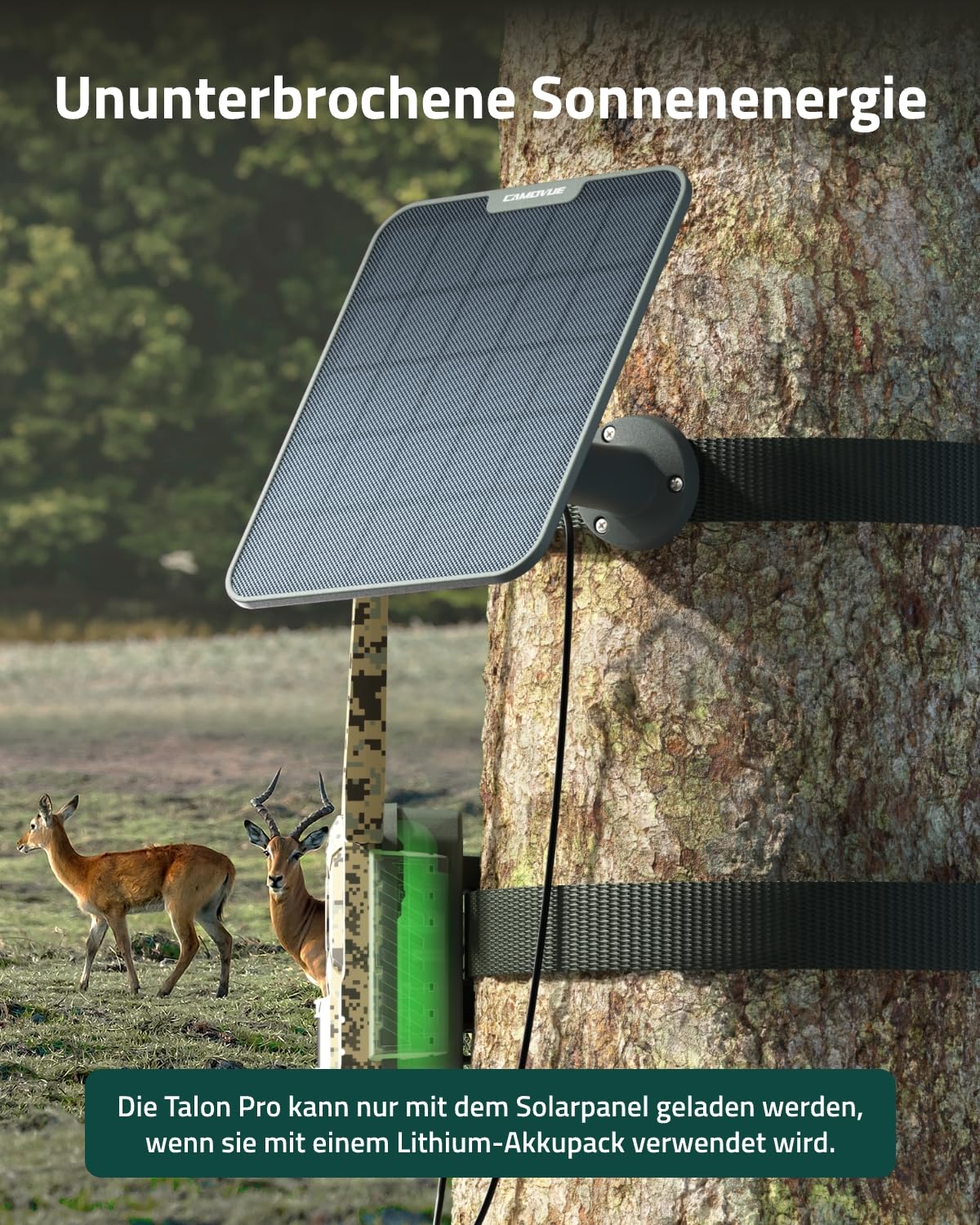 Solarpanel SP-10 für Wildkamera, Kompatibel Reolink Kameras, 6W Schnellladung für Nonstop-Stromversorgung, geeignet für den Außenbereich, Flexible Installation, IP65 Wetterfest