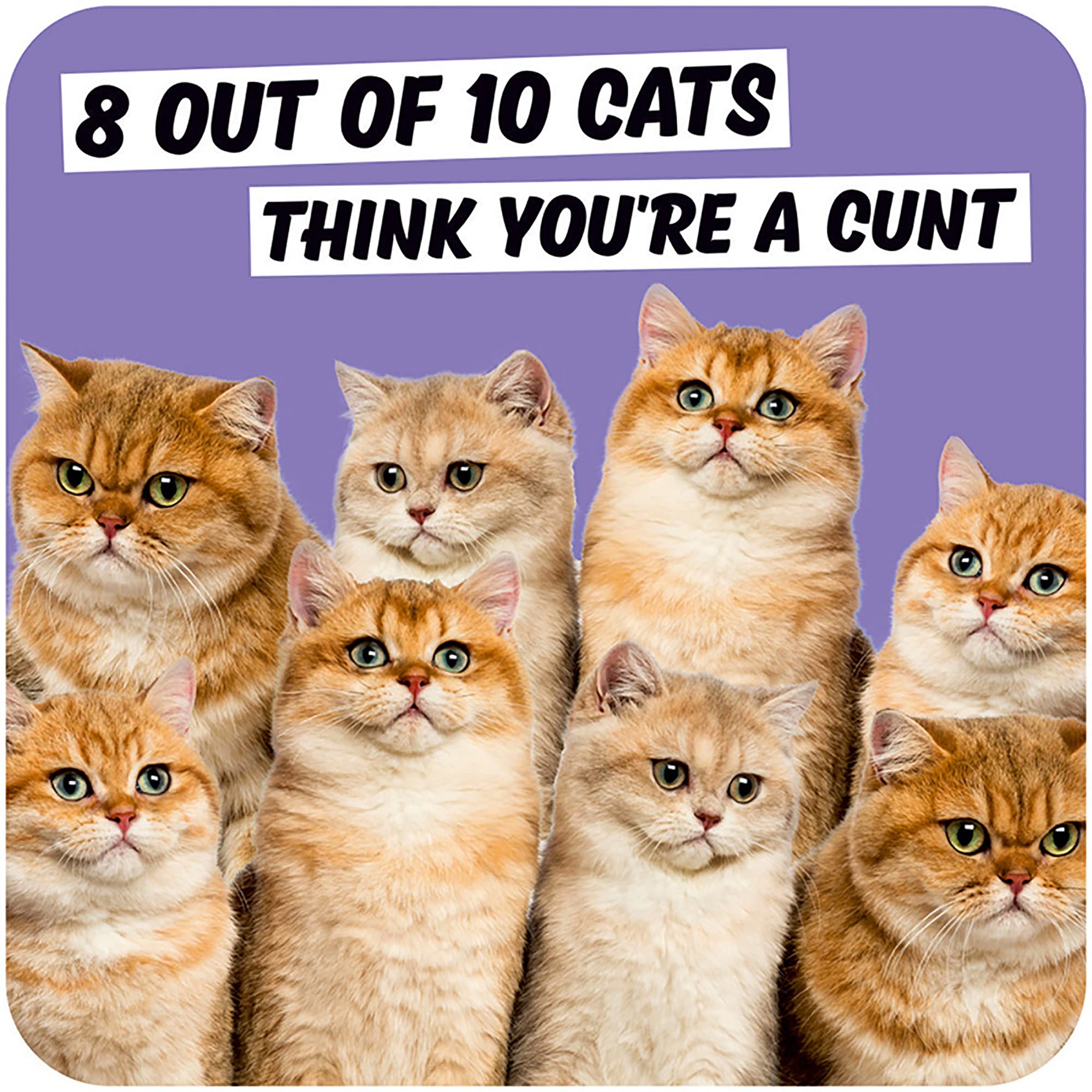8 Out Of 10 Cats Think You're a C*nt - Funny Rude Coaster - Small Gift Ideas - Birthday Gift for Him Her Friends - Dean Morris Cards