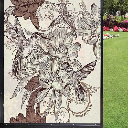 Película 3D para ventana de colibríes, patrón con pájaros y flores, estilo clásico, diseño ornamental, estampado floral, película de privacidad para