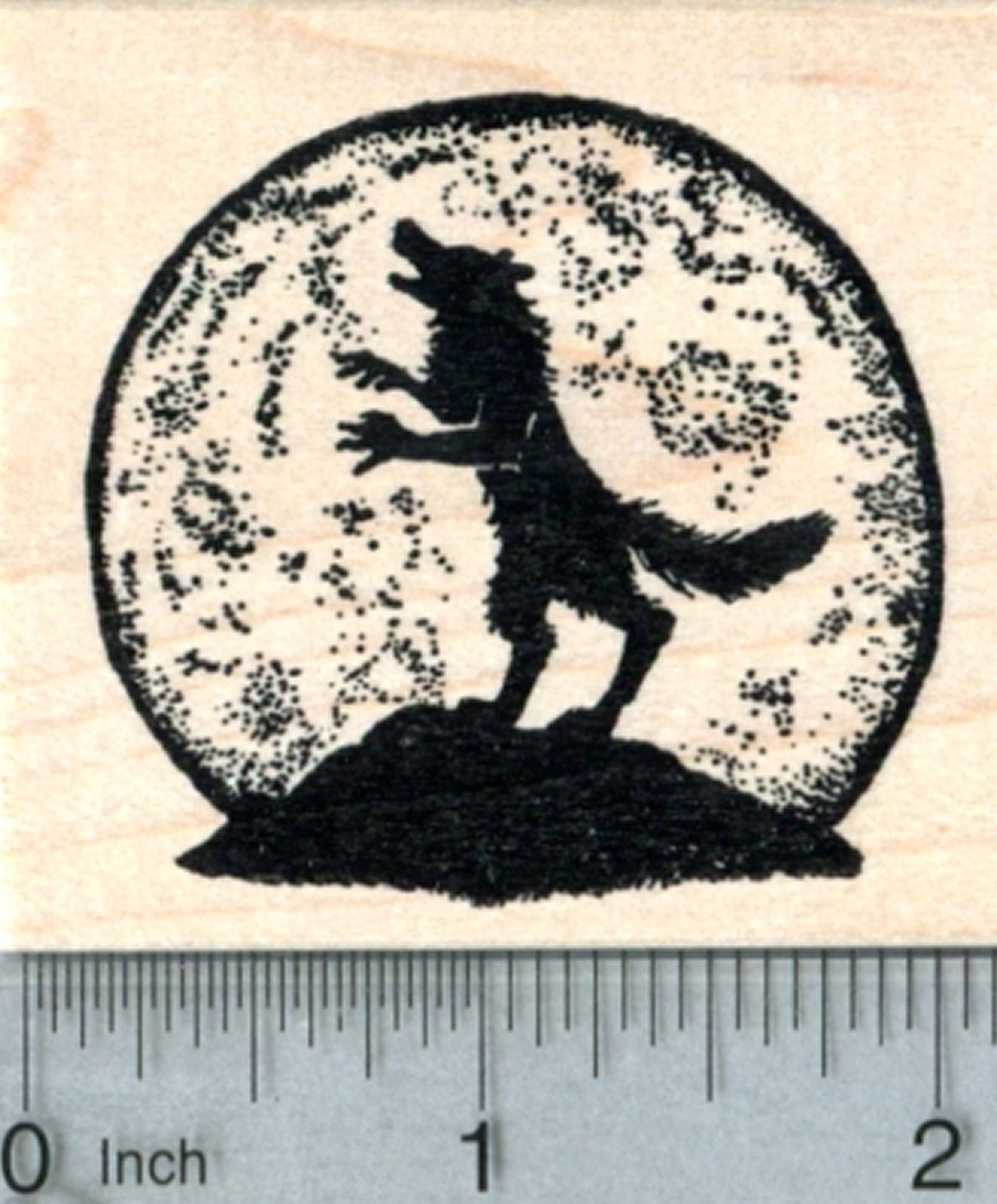 Scary Werewolf Howling At The Moon The Wolf Howling At The Moon.
