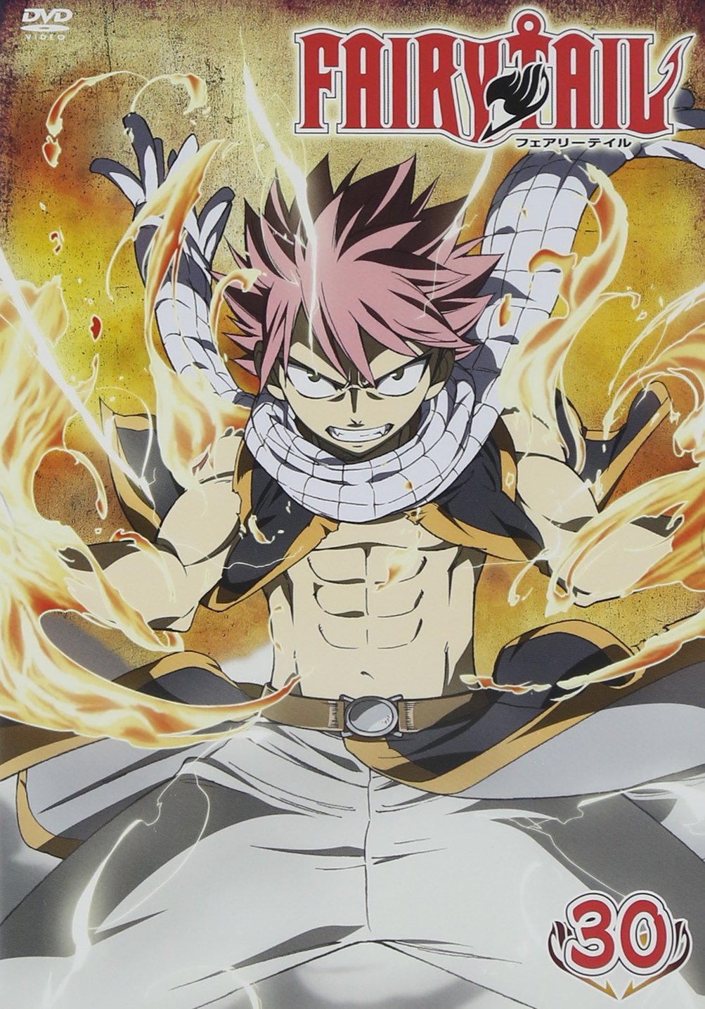 フェアリーテイル1〜30 Amazon.co.jp: FAIRY TAIL(30) (少年マガジンコミックス) : 真島