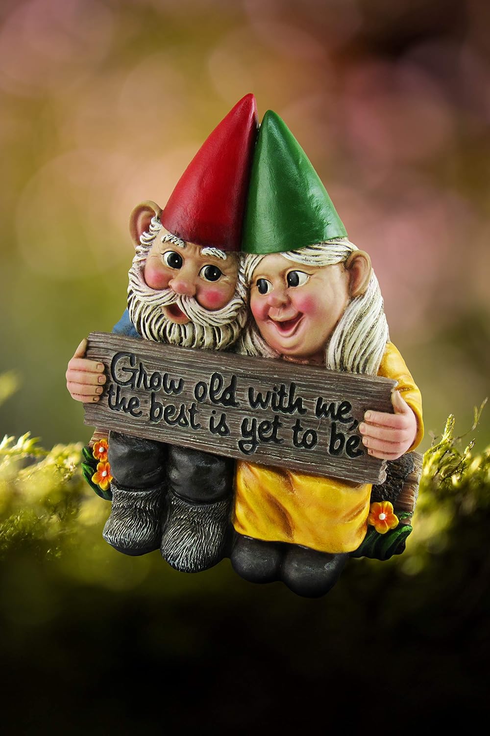 DWK 5.75" Growing Old Together Garden Gnome Couple in Love Best Friends Collectible Statue for Indoor Outdoor Garden and Home Decor