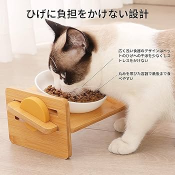 ADA 陶器製餌容器 竹風 ADA 陶器製餌容器 竹風 LIMITED PRODUCTS – ADA LAB | Aqua