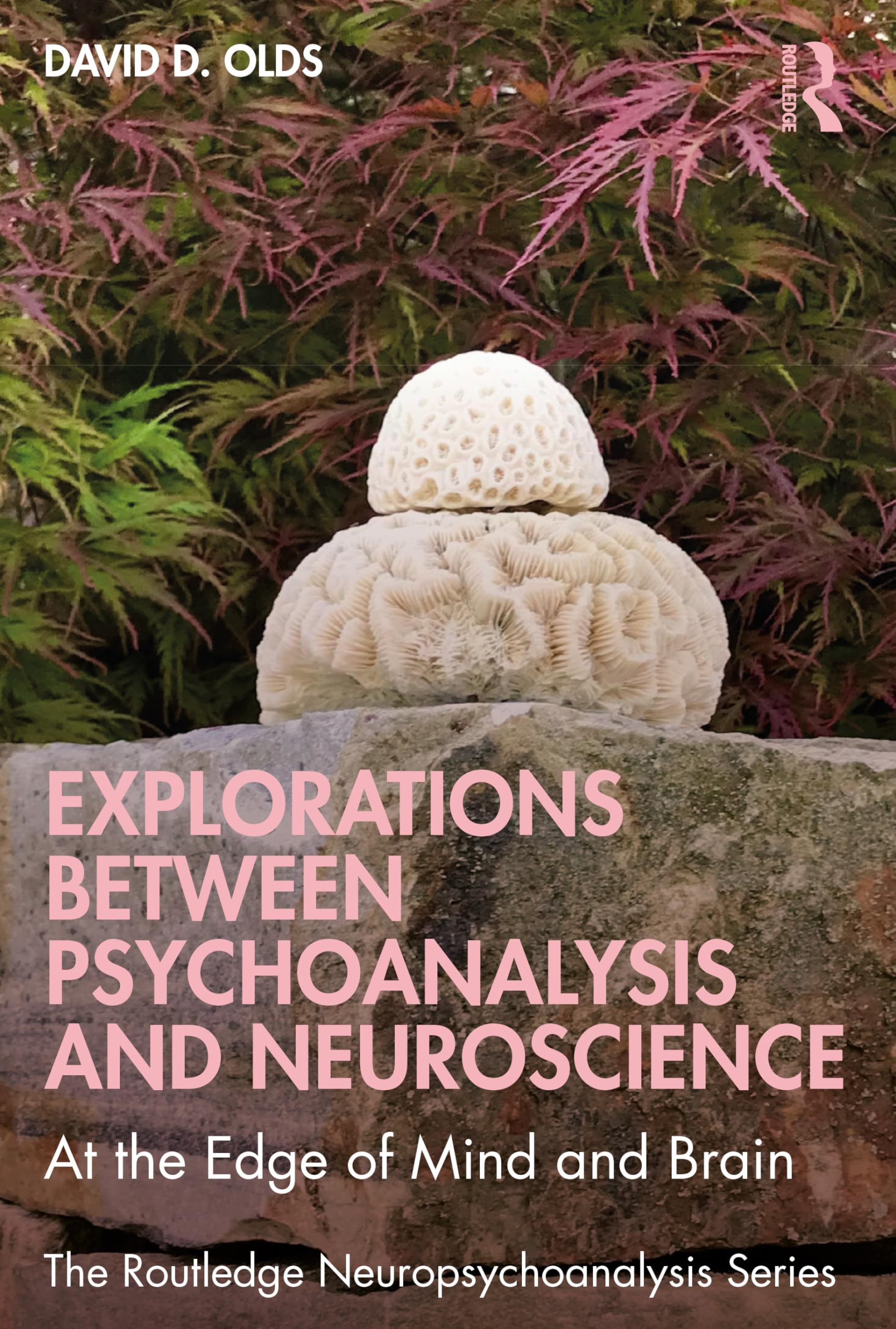 Explorations Between Psychoanalysis and Neuroscience: At the Edge of Mind and Brain (The Routledge Neuropsychoanalysis Series)