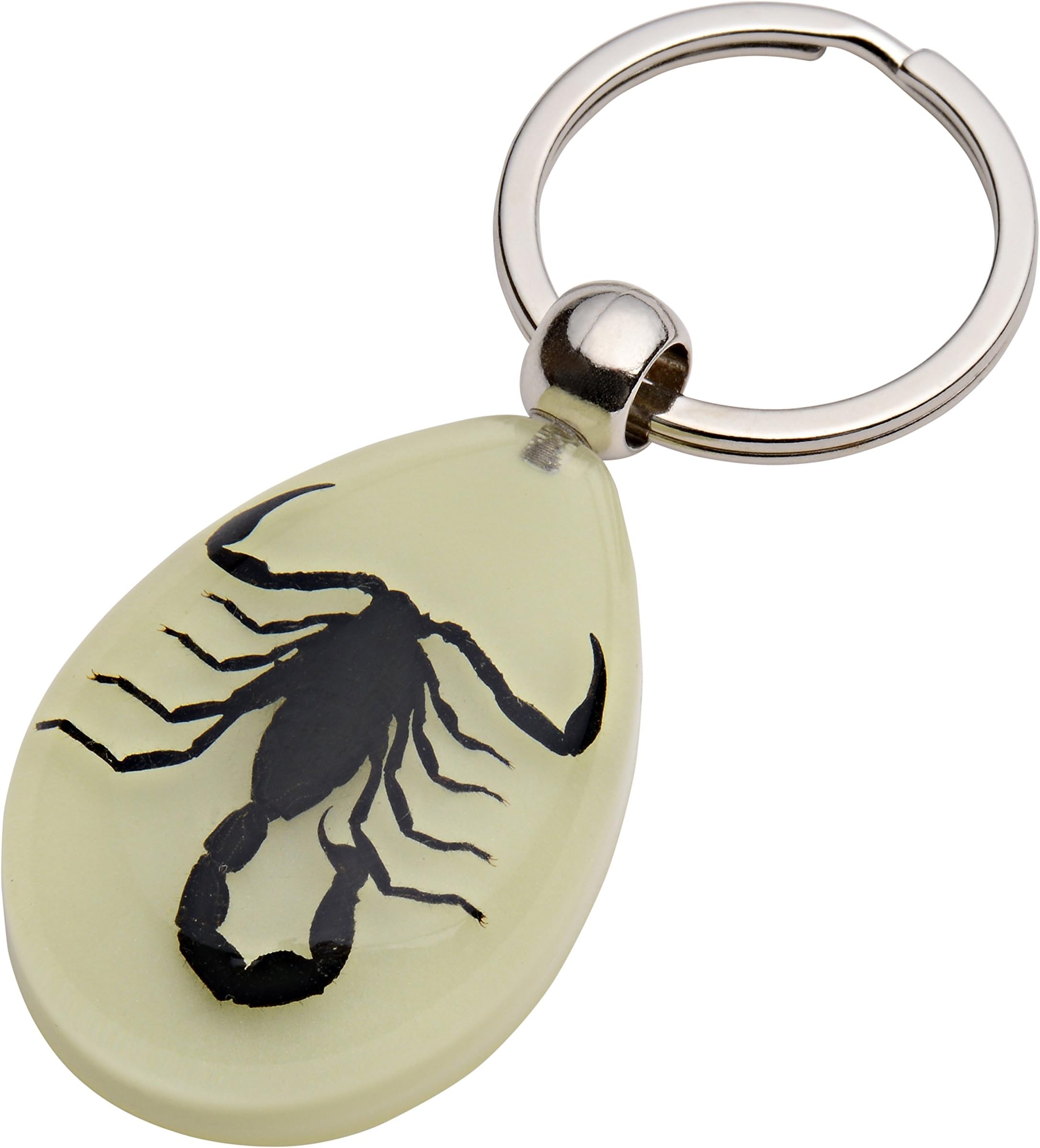 Amazing Nature's Glow-in-the-Dark Real Insect Keychain (Black Scorpion)