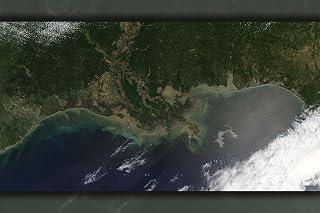 History Galore 24"x36" Gallery Poster, Oil Leak from Damaged Well in Gulf of Mexico