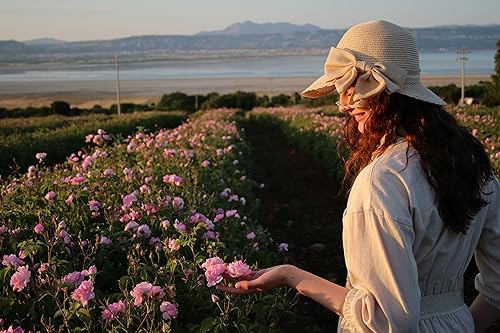 Miniatura 4 de Aceite Esencial de Rosa 100% Puro Turco (Rosa Damascena) Grado Terapéutico Aceite de Rosa Sin diluir 0.04 oz