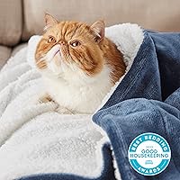 Vista 52 de Bedsure Manta de tamaño King de vellón sherpa para la cama, gruesa y cálida para el invierno, suave y mullida, grande, color lino, 108 x 90 pulgadas