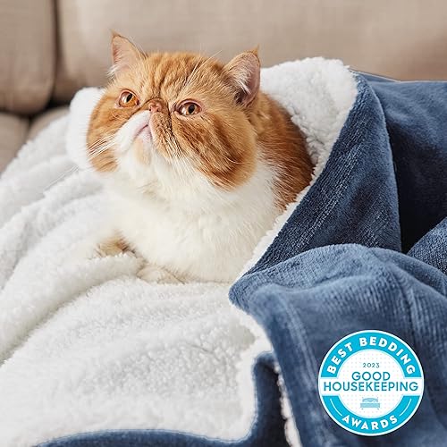 Miniatura 2 de Bedsure GentleSoft - Manta Throw de Vellón Sherpa Tamaño Twin para Sofá - Manta Gruesa y Cálida para Mujeres y Hombres, Manta Twin Suave y Esponjosa