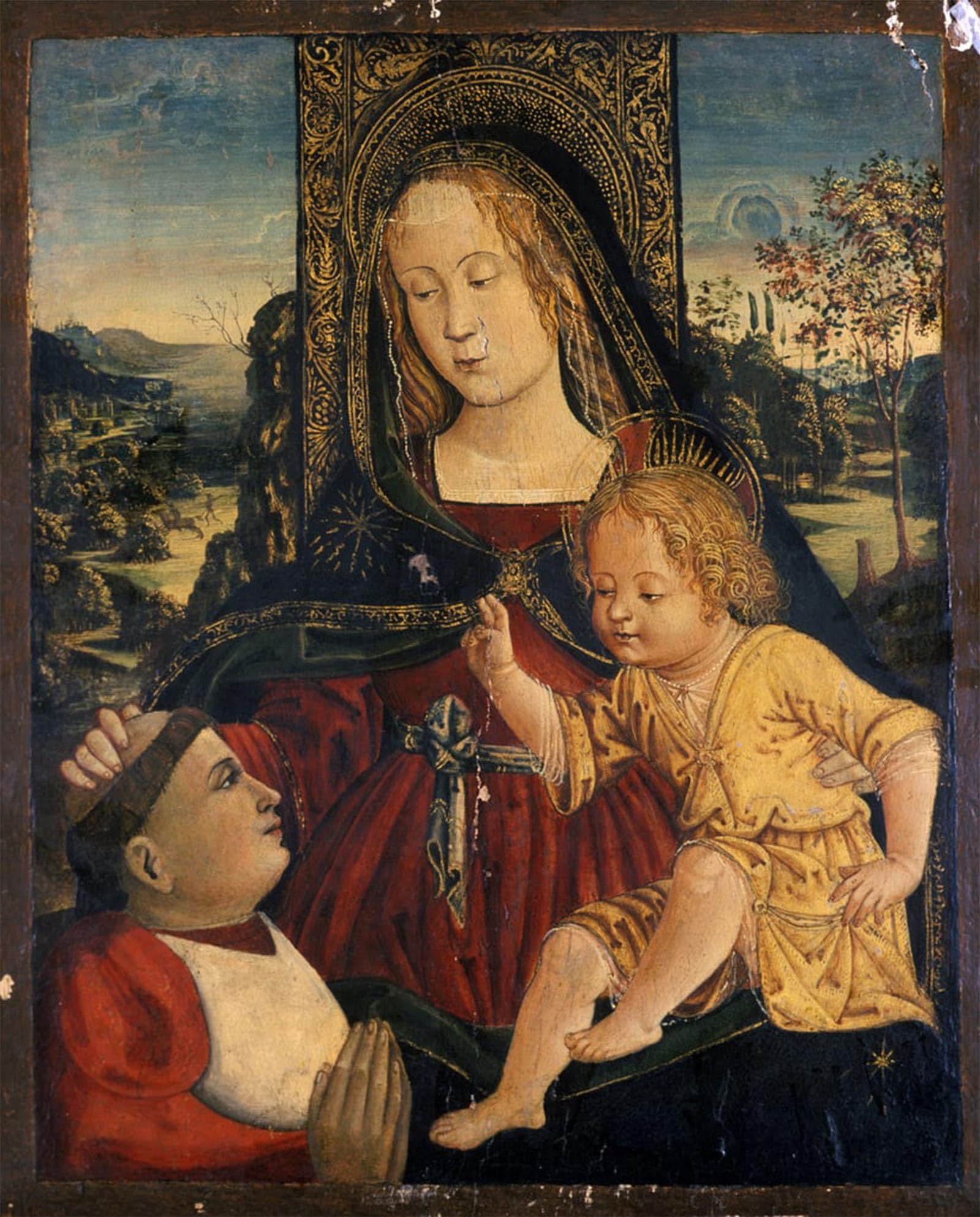 Pinturicchio para Decoraciones del Hogar lienzo pared vacía 60x90 5