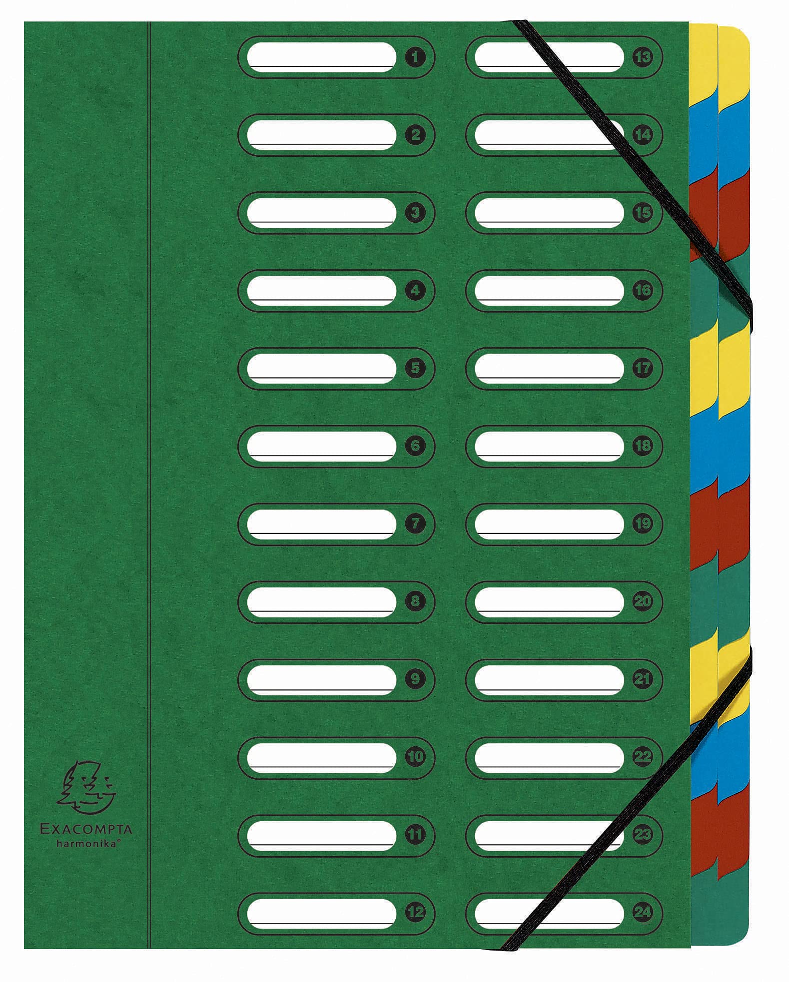 Exacompta - Réf. 55243E - 1 trieur HARMONIKA - avec élastiques et fenêtres découpées - couverture en carte lustrée - dos extensible - 24 compartiments - pour A4 - dim 24,5 x 32 cm - couleur vert