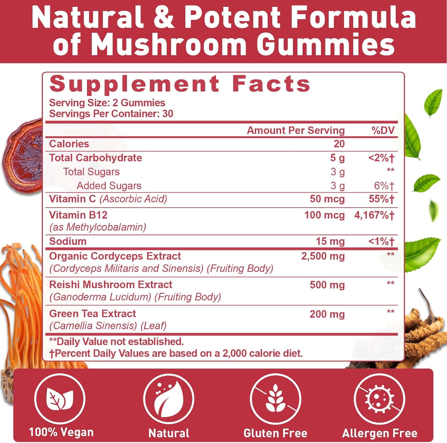 Mushroom Gummies, Cordyceps Reishi Mushroom Supplement Gummies for Adults with Green Tea Extract, Brain Supplements for Memory and Focus, Energy, Athletic Performance*, Rest - 60 Count - Image 2